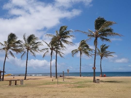 Salt Pond Beach courtesy of Terry Ambrose