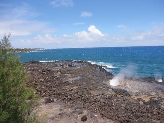 Spouting Horn courtesy of Terry Ambrose