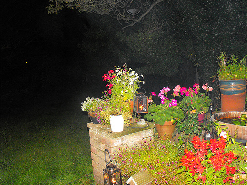 garden at night