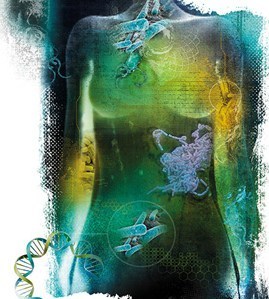 (Illustration: Stephanie Dalton Cowan)