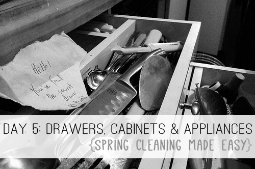 Day 5: Drawers, Cabinets & Appliances {Spring Cleaning Made Easy} at lifeyourway.net