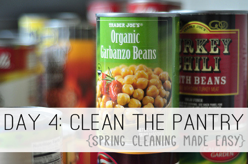 Day 4: Clean the Pantry {Spring Cleaning Made Easy} at lifeyourway.net
