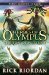 The Son of Neptune (Heroes of Olympus, #2) by Rick Riordan