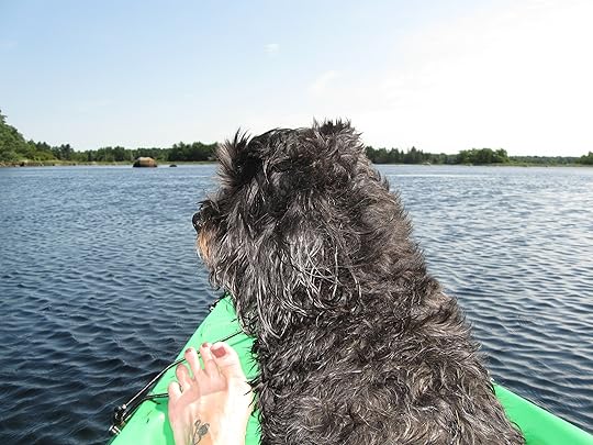 Max in the kayak on the Medway