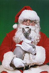 Giguhl Santa