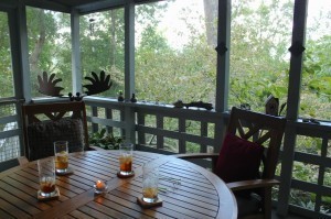 My back porch. © R.K. Young