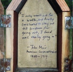 poetry of the wild4