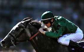 play the horses
