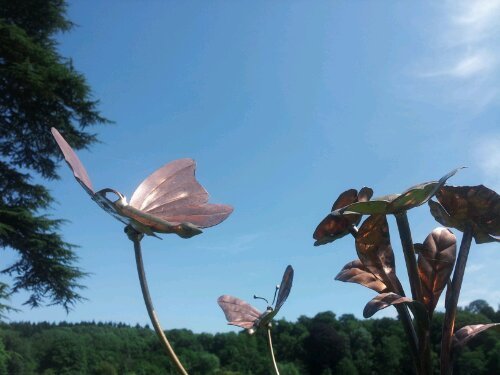 butterflies