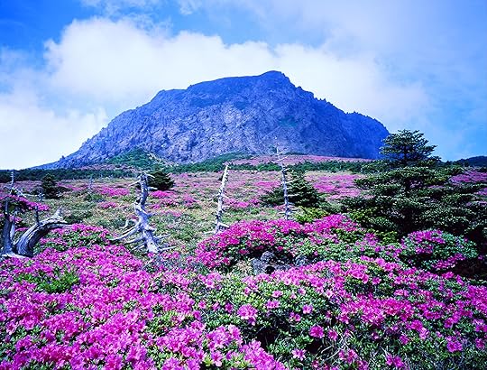 http://tong.visitkorea.or.kr/enu/cms/content/42/1188242_1_1.jpg