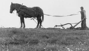 farmer+plowing