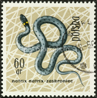 Snake Stamp