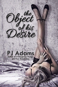 The Object of His Desire - erotic romance suspense by PJ Adams