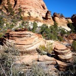 Red Hills - Zion National Park