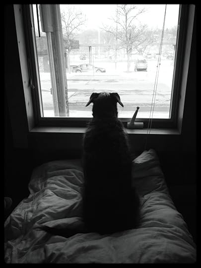 20130122-142733.jpg