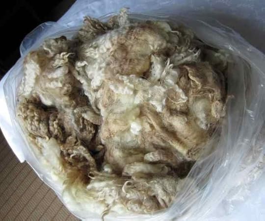 Fleece_0228 - Version 2