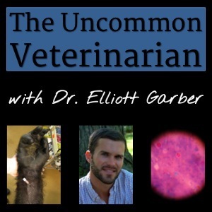 Uncommon Veterinarian Podcast 300 UVP 004: Food Safety and Army Reserves Veterinarian Dr. Romina Hennig