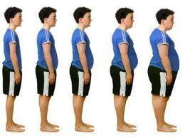 fat