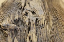 brushed-mushroom-wood-3