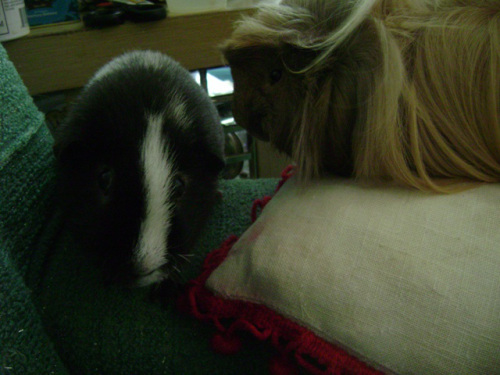 I’ve read that Oelwein is improving, I hope it keeps up.