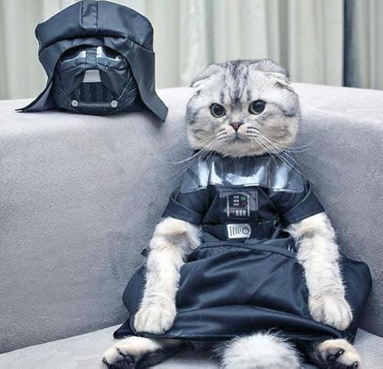 cat-dressed-as-vader