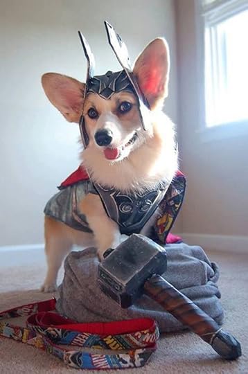thorgi
