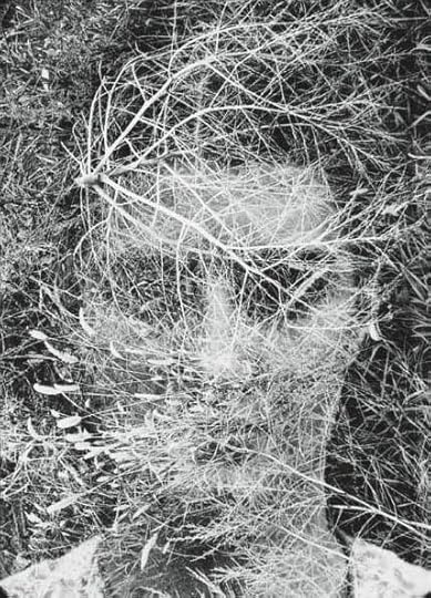 henry callahan-eleanor