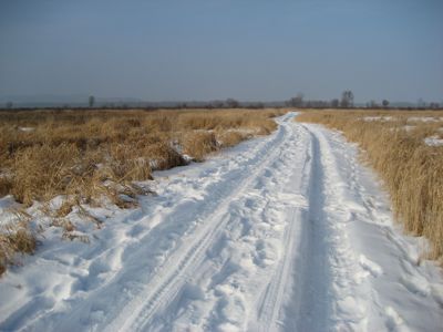 from Jillian McDonald blog