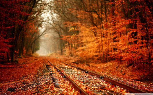 autumn scene with orange leaves and train tracks