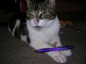 mr kit modelling my promotion pens