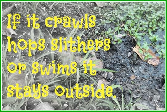 Country Sayings If it crawls quote