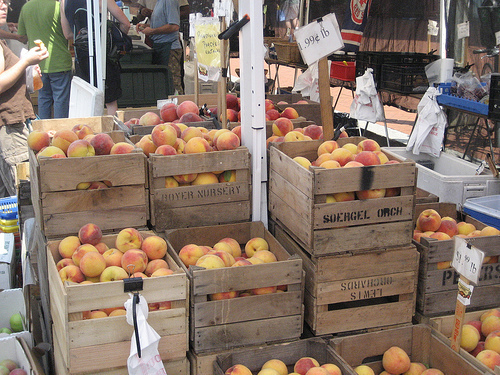peaches at the DC market