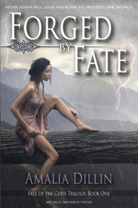 FxFATE-cover-72dpi