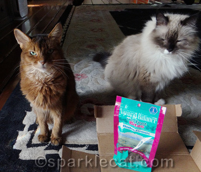 Somebody here has hungry eyes... and it isn't me!