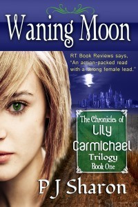 WM jpg 6x9 eBook UPLOAD 2013