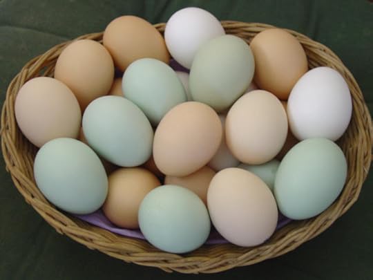 basket-of-eggs