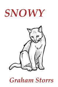 Snowy cover image