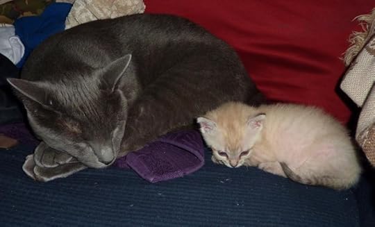  photo P1060010_zpsf2f08298.jpg