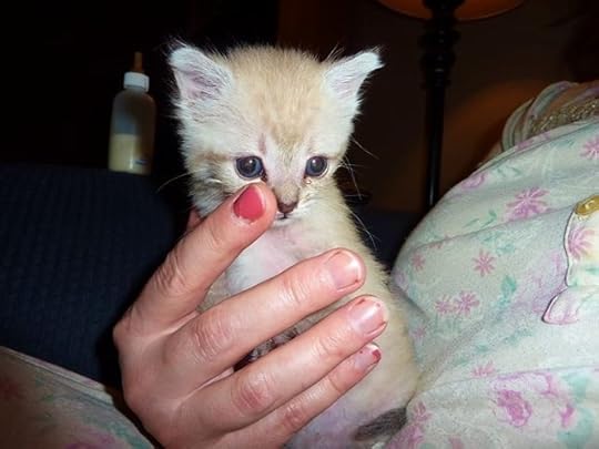  photo image_zps36949c06.jpg