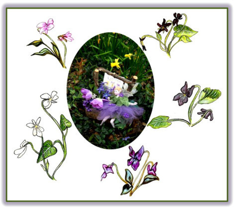 Violets and Fairy