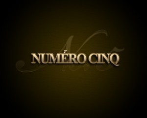 numerocinqlogo