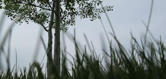 A Larkin's Perspective