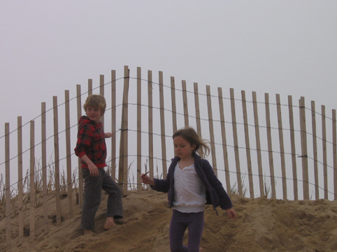 ConnorClioBeachDuneFenceaprilUSA-2013 234