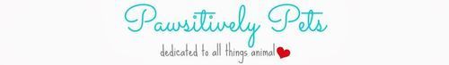 PawsitivelyPetsAnnStaub