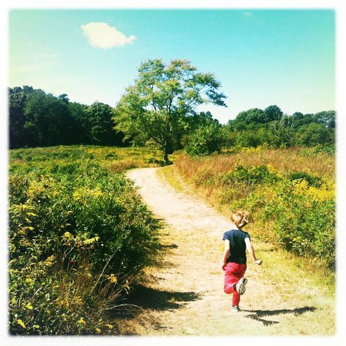 Connor_mashomack_9_16_12