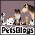 PetsBlogs-125