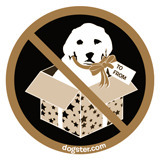 DogsterblogXmasPuppyArticle