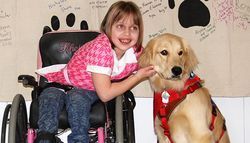 4pawsMobility-Assistance-Dog-Children