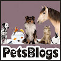 PetsBlogs-125
