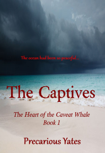 Cover 3